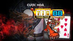 Cược hoà